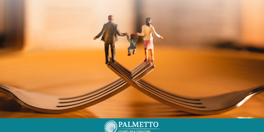 Wheel Of Life Exercise, a Blog by Palmetto Counseling & Consulting