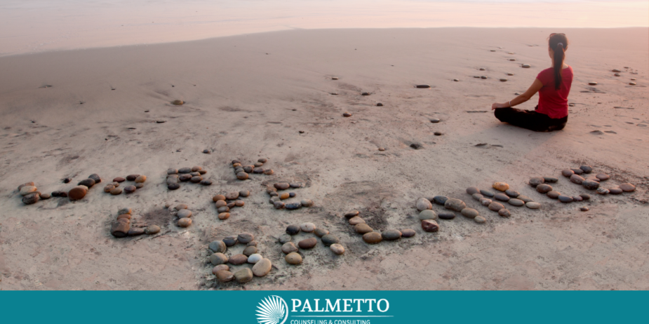 Achieving Work-Life Balance for Mental and Physical Health, a Blog by Palmetto Counseling & Consulting