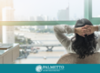 How to Get Addiction Help Without Sidetracking Your Career, a Blog by Palmetto Counseling & Consulting