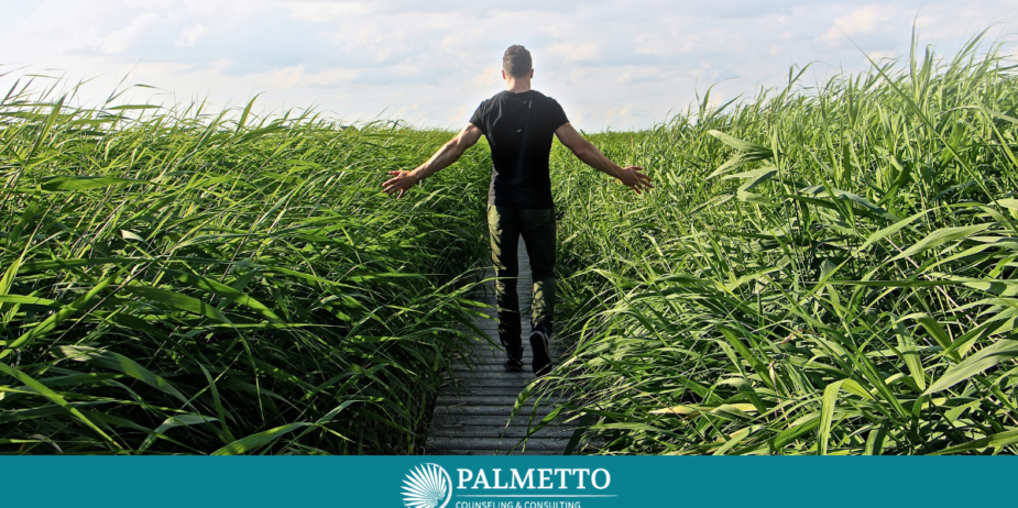 Simple, Budget-Friendly Self-Care Ideas for Individuals in Recovery, a Blog by Palmetto Counseling & Consulting