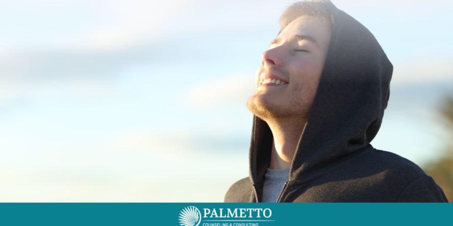 Dialectical Behavioral Therapy: Mindfulness and Wise Mind, a Blog by Palmetto Counseling & Consulting