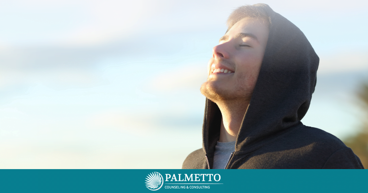 Dialectical Behavioral Therapy: Mindfulness and Wise Mind, a Blog by Palmetto Counseling & Consulting
