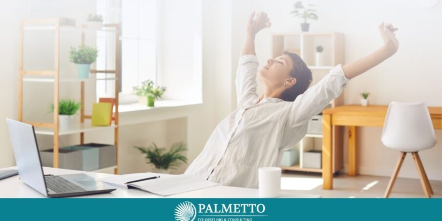 Distress Tolerance: Long-Term & Short-Term Skills for Relief, a Blog by Palmetto Counseling & Consulting