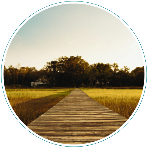 The Palmetto Counseling Blog discusses mental wellness for all ages and provides strategies and resources for continued personal growth.