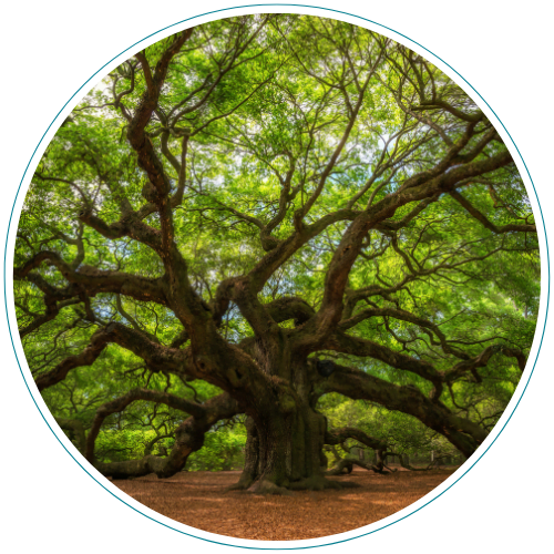 If you are considering starting therapy for the first time, it’s absolutely normal to have questions. At Palmetto Counseling, we want to ensure that you feel comfortable and informed before beginning the process.