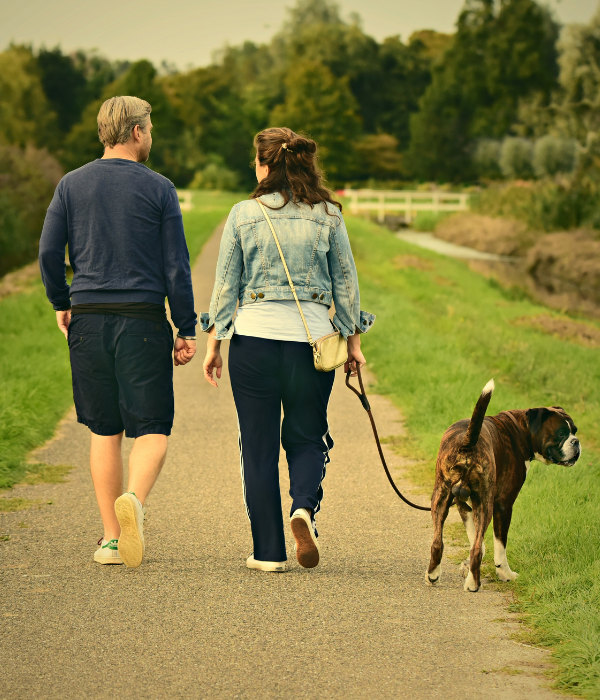 A couple walking their dog and talking with their heads tilted toward one another to depict strengthening your relationship’s bond through online couples therapy at Palmetto Counseling.